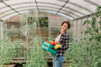 有机女农民持有盒子完整的新鲜的生产农场复制空间的地方文本快乐年轻的女人微笑相机站温室成功的女农民收获蔬菜