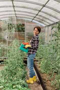 农民女人持有木盒子完整的新鲜的生蔬菜温室篮子蔬菜卷心菜胡萝卜黄瓜萝卜沙拉大蒜胡椒女手