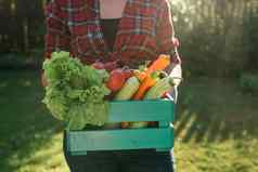 农民女人持有木盒子完整的新鲜的生蔬菜篮子蔬菜卷心菜胡萝卜黄瓜萝卜沙拉大蒜胡椒女手
