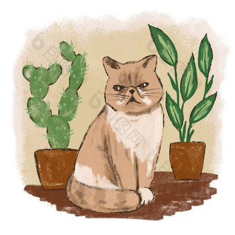 手画illsutration波斯异国情调的猫花室内植物色彩斑斓的背景首页动物猫宠物可爱的设计海报卡时尚的艺术宽松的绘画风格礼物猫情人猫妈妈打印