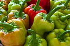 新鲜的成熟的红色的黄色的绿色贝尔辣椒国产秋天收获