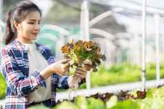 亚洲女农民记录数据农场收集检查蔬菜