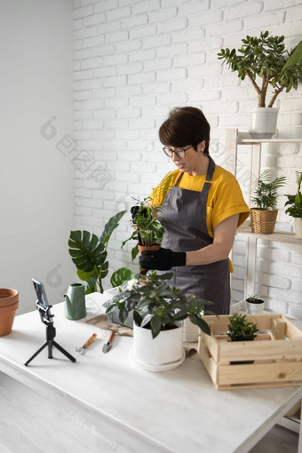 中间岁的女人博主前面智能手机相机三脚架记录教学教程视频博客芽过程种植花绿色植物完整的土壤享受植物爱好