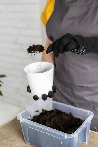 园艺首页特写镜头女人种植浇水绿色植物浇水首页盆栽绿色植物首页首页丛林花装饰花店商店概念