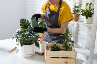 园艺首页特写镜头女人种植浇水绿色植物浇水首页盆栽绿色植物首页首页丛林花装饰花店商店概念