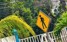 黄色的行人标志街登录playa的卡门墨西哥