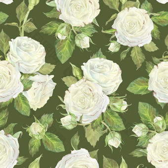 无缝的模式白色玫瑰叶子味蕾水彩植物插图孤立的<strong>绿色</strong>背景<strong>手绘</strong>画花打印古董风格设计包装纸壁纸