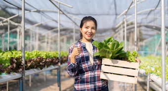亚洲农民年轻的女人持有篮子<strong>蔬</strong>菜农场有吸引力的农业家站持有携带盒子<strong>蔬</strong>菜水培微笑相机绿色房子农场