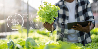 年轻的亚洲<strong>农民农民</strong>记录数据农场收集检查蔬菜平板电脑