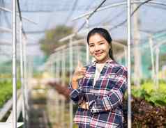 年轻的亚洲女孩农民显示拇指新鲜的绿色橡木生菜沙拉有机水培蔬菜托儿所农场业务有机水培蔬菜概念