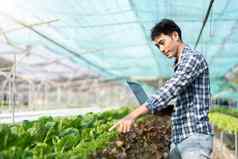 年轻的亚洲农民农民记录数据农场收集检查蔬菜移动PC