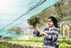 年轻的亚洲女人农民检查新鲜的绿色橡木生菜沙拉有机水培蔬菜托儿所农场业务有机水培蔬菜概念