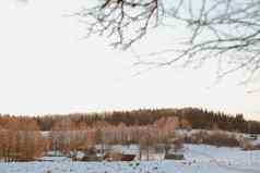 农村美丽的冬天景观Non-urban场景一年圣诞节风景如画的视图农村冷淡的冬天一天