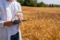 年轻的农学家农民平板电脑手创建收益率地图小麦场