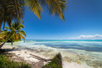 船热带海滩加勒比海saona岛多米尼加共和国