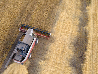 结合割小麦场农用工业结合收割机切割小麦场机收获小麦收获粮食作物收获小麦燕麦大麦字段牧场农田