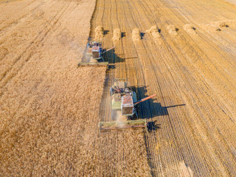 收获小麦粮食作物空中视图收获小麦燕麦大麦字段牧场农田结合割场农用工业结合收割机切割小麦<strong>提起</strong>机收获