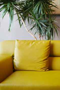 现代黄色的沙发枕头生活房间首页
