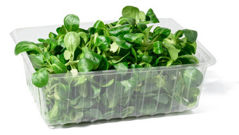 新鲜的<strong>生菜叶</strong>子绿豆豆透明的塑料容器白色孤立的背景
