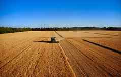 收割机作品场结合收获小麦前视图Wheatfield场场谷物收获