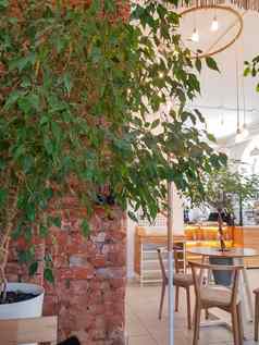 植物砖墙设计元素现代室内空咖啡馆古董风格木表垂直照片