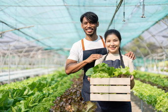 年轻的亚洲夫妇农民工作蔬菜水培农场幸福男人。女人农民携带盒子绿色沙拉相机微笑绿色房子农场