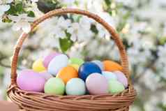 画复活节鸡蛋篮子草传统的装饰太阳光