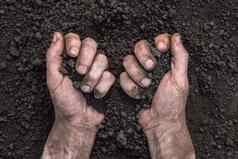 一些污垢手持有土壤手触摸地面农民手完整的土壤场有机地球地面肥沃的土壤场农业概念保存地球一天地球保存环境一天