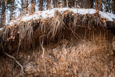 土壤侵蚀沟壑由于春天洪水融雪