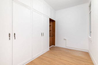内置的宽敞的衣柜房间木层压板地板概念组织存储简洁的室内