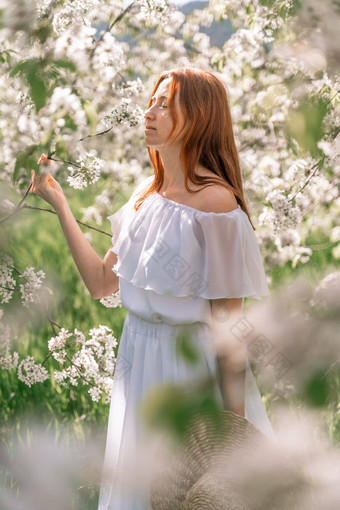 女人樱桃果园快乐女人长白色长衣服走绿色春天盛开的樱桃花园快乐快乐的公主新娘织物裙子收敛了风