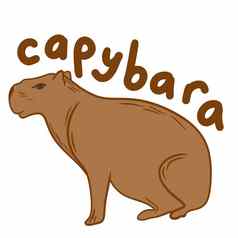 手画插图可爱的水豚动物米色棕色（的）白色背景野生野生动物自然动物园动物学动物吉祥物啮齿动物轮廓毛茸茸的物种简单的极简主义行设计
