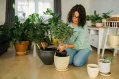 春天爱好快乐年轻的女人移植花能室内植物污垢土壤首页园艺植物绿色热带概念