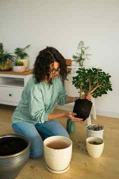 春天爱好快乐年轻的女人移植花能室内植物污垢土壤首页园艺植物绿色热带概念