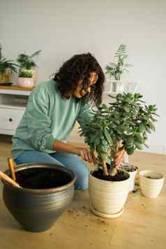 春天爱好快乐年轻的女人移植花能室内植物污垢土壤首页园艺植物绿色热带概念