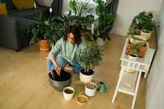女人园丁移植绿色植物陶瓷锅地板上概念首页花园盆栽植物