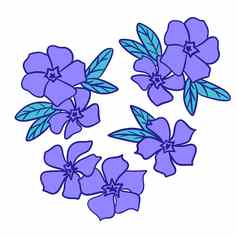 手画插图小长春花蓝色的紫罗兰色的花绿色叶子自然野生森林花花装饰风格木林地自然植物布鲁姆开花画叶树叶