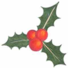 圣诞节红色的浆果绿色叶子贴纸画彩色的铅笔孤立的白色背景