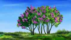 淡紫色树插图