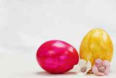 复活节鸡蛋画柔和的颜色白色背景复制空间可爱的春天花快乐复活节假期概念空间文本黄色的粉红色的蓝色的