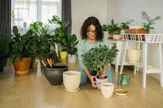 女人移植绿色植物能室内植物首页园艺概念