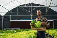 老板水培法蔬菜花园检查质量蔬菜检查记录增长蔬菜花园蔬菜温室