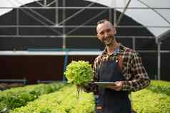 老板水培法蔬菜花园检查质量蔬菜检查记录增长蔬菜花园蔬菜温室