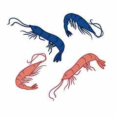 手画插图桃子橙色虾虾绿松石背景海洋水下海食物海洋餐厅咖啡馆菜单水生动物生物航海打印设计