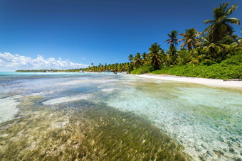 热带海滩加勒比海田园saona岛多米尼加共和国