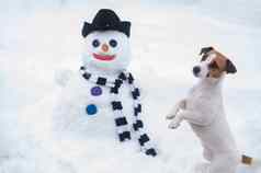 杰克罗素梗狗使雪人冬天有趣的