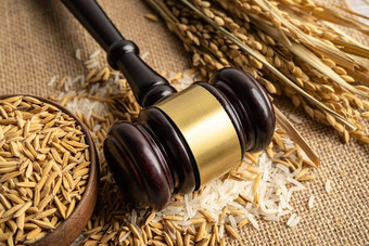 法官槌子锤好粮食大米农业农场法律正义法院概念