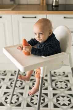 男孩蓝色的t恤坐着孩子的椅子吃胡萝卜婴儿护理婴儿孩子喂养概念