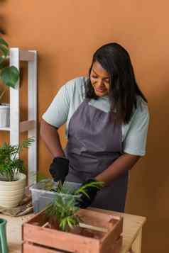 非洲美国女人移植植物能首页园艺室内爱好休闲培养有爱心的室内盆栽植物种植绿色植物花能