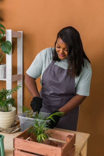 非洲美国女人移植植物能首页园艺室内爱好休闲培养有爱心的<strong>室内盆栽</strong>植物种植绿色植物花能